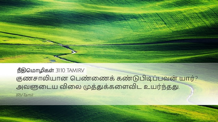 நீதிமொழிகள் 31:10 TAMIRV Bible Verse Image