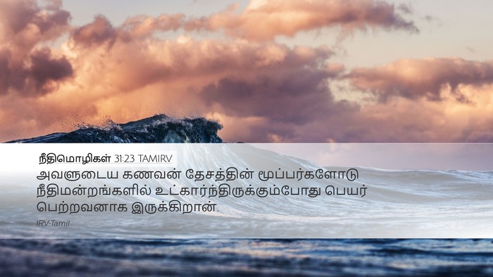 நீதிமொழிகள் 31:23 TAMIRV Bible Verse Image