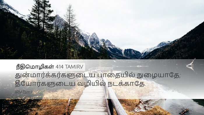 நீதிமொழிகள் 4:14 TAMIRV Bible Verse Image