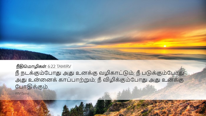நீதிமொழிகள் 6:22 TAMIRV Bible Verse Image