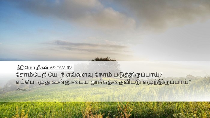 நீதிமொழிகள் 6:9 TAMIRV Bible Verse Image