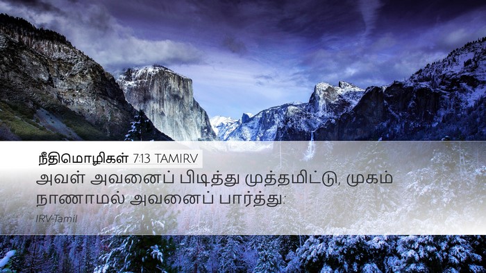 நீதிமொழிகள் 7:13 TAMIRV Desktop Wallpaper - அவள் அவனைப் - Desktop Bible Verse Wallpaper