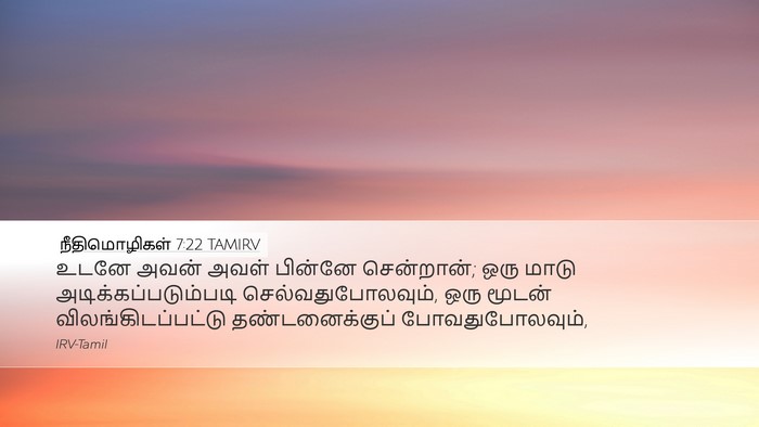 நீதிமொழிகள் 7:22 TAMIRV Bible Verse Image