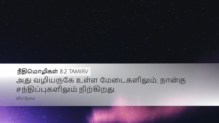 நீதிமொழிகள் 8:2 TAMIRV Bible Verse Image