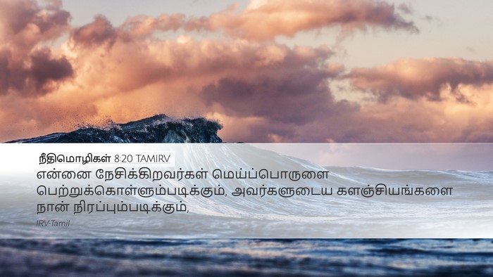 நீதிமொழிகள் 8:20 TAMIRV Bible Verse Image