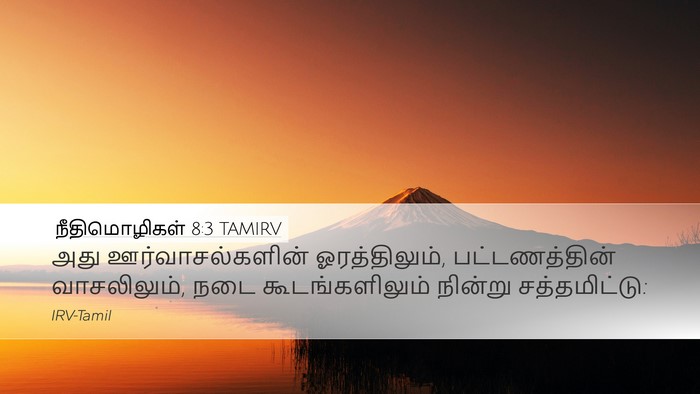 நீதிமொழிகள் 8:3 TAMIRV Desktop Wallpaper - அது ஊர்வாசல்களின் - Desktop Bible Verse Wallpaper