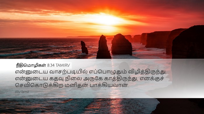 நீதிமொழிகள் 8:34 TAMIRV Bible Verse Image