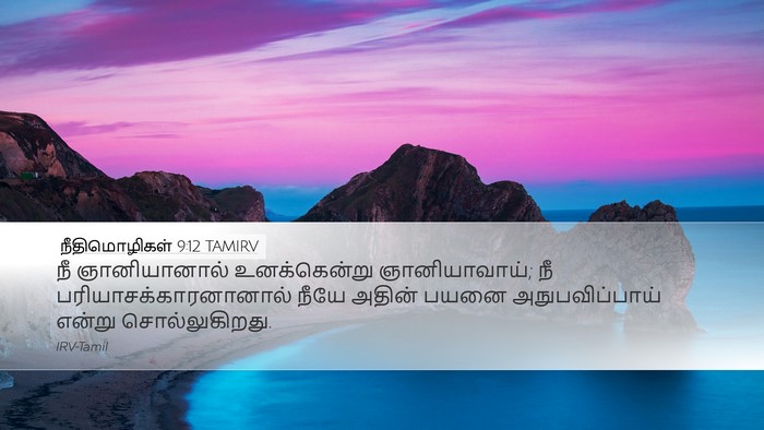 நீதிமொழிகள் 9:12 TAMIRV Bible Verse Image