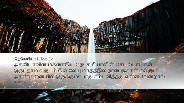நெகேமியா 1:1 TAMIRV Desktop Wallpaper - அகலியாவின் - Desktop Bible Verse Wallpaper