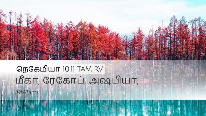 நெகேமியா 10:11 TAMIRV Desktop Wallpaper - மீகா, ரேகோப், - Desktop Bible Verse Wallpaper