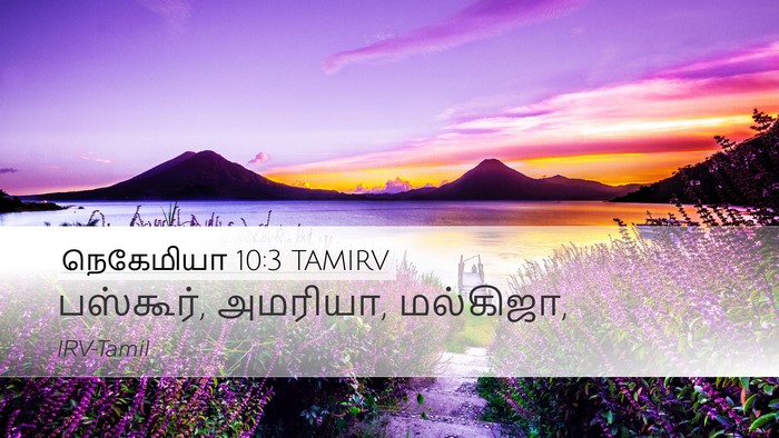 நெகேமியா 10:3 TAMIRV Desktop Wallpaper - பஸ்கூர், அமரியா, - Desktop Bible Verse Wallpaper