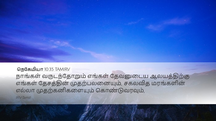 நெகேமியா 10:35 TAMIRV Desktop Wallpaper - நாங்கள் - Desktop Bible Verse Wallpaper