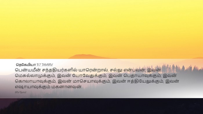 நெகேமியா 11:7 TAMIRV Bible Verse Image