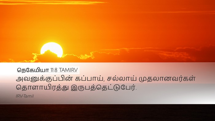 நெகேமியா 11:8 TAMIRV Desktop Wallpaper - அவனுக்குப்பின் - Desktop Bible Verse Wallpaper