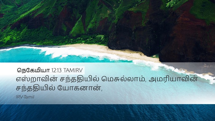 நெகேமியா 12:13 TAMIRV Bible Verse Image