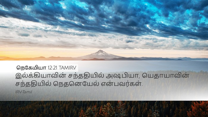 நெகேமியா 12:21 TAMIRV Desktop Wallpaper - இல்க்கியாவின் - Desktop Bible Verse Wallpaper