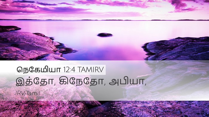 நெகேமியா 12:4 TAMIRV Bible Verse Image