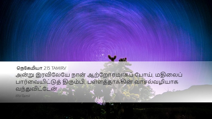 நெகேமியா 2:15 TAMIRV Bible Verse Image