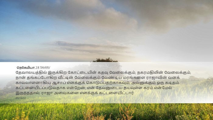 நெகேமியா 2:8 TAMIRV Bible Verse Image