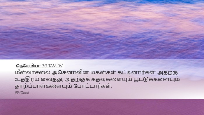 நெகேமியா 3:3 TAMIRV Desktop Wallpaper - மீன்வாசலை - Desktop Bible Verse Wallpaper