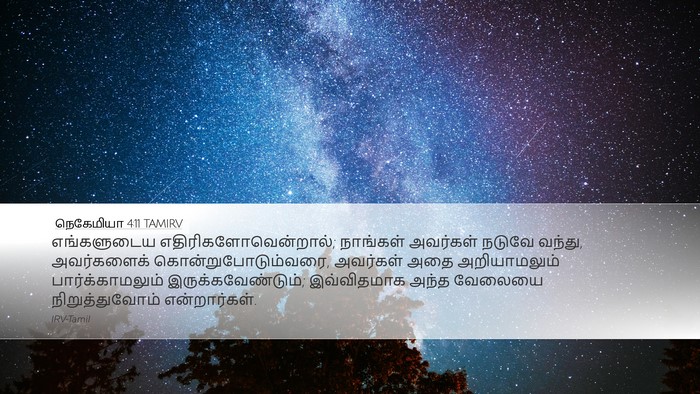 நெகேமியா 4:11 TAMIRV Bible Verse Image