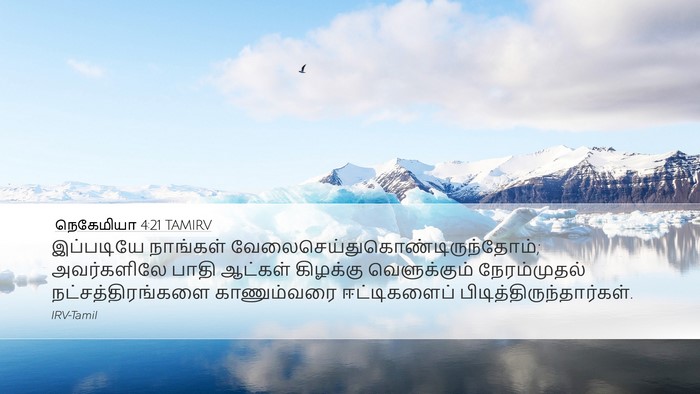 நெகேமியா 4:21 TAMIRV Desktop Wallpaper - இப்படியே நாங்கள் - Desktop Bible Verse Wallpaper