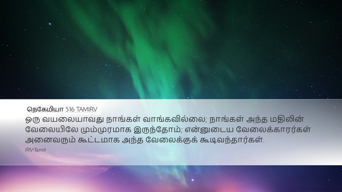 நெகேமியா 5:16 TAMIRV Bible Verse Image