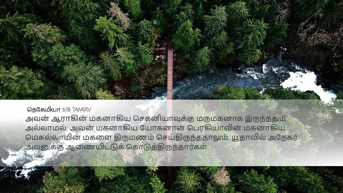 நெகேமியா 6:18 TAMIRV Bible Verse Image