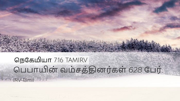 நெகேமியா 7:16 TAMIRV Bible Verse Image