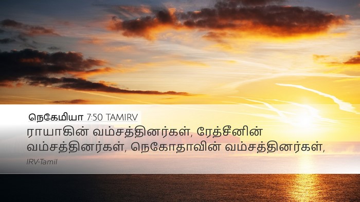 நெகேமியா 7:50 TAMIRV Desktop Wallpaper - ராயாகின் - Desktop Bible Verse Wallpaper