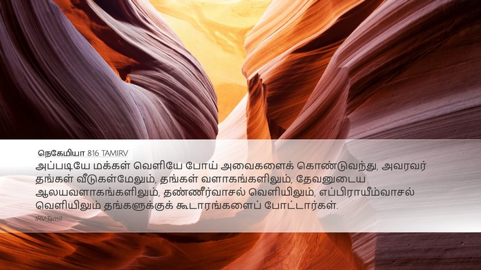 நெகேமியா 8:16 TAMIRV Bible Verse Image