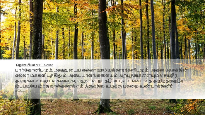 நெகேமியா 9:10 TAMIRV Bible Verse Image