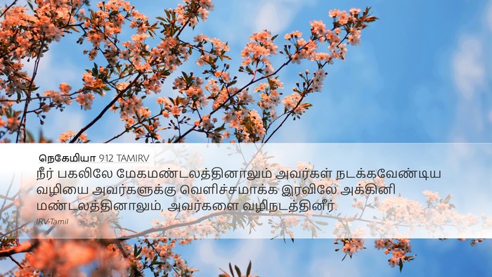நெகேமியா 9:12 TAMIRV Bible Verse Image