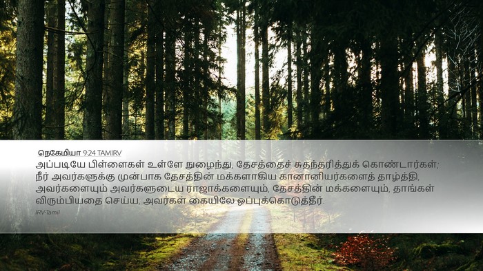 நெகேமியா 9:24 TAMIRV Bible Verse Image