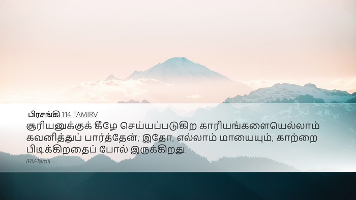 பிரசங்கி 1:14 TAMIRV Bible Verse Image