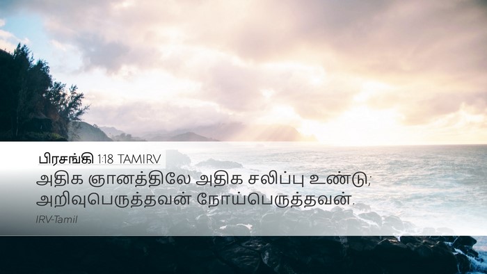பிரசங்கி 1:18 TAMIRV Bible Verse Image