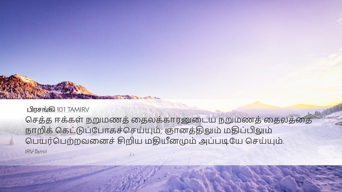 பிரசங்கி 10:1 TAMIRV Bible Verse Image