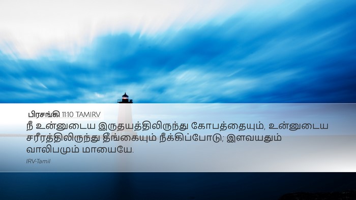 பிரசங்கி 11:10 TAMIRV Desktop Wallpaper - நீ உன்னுடைய - Desktop Bible Verse Wallpaper
