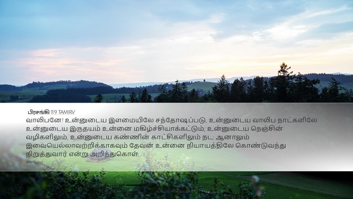 பிரசங்கி 11:9 TAMIRV Bible Verse Image