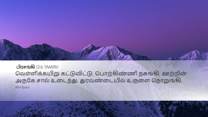 பிரசங்கி 12:6 TAMIRV Desktop Wallpaper - வெள்ளிக்கயிறு - Desktop Bible Verse Wallpaper