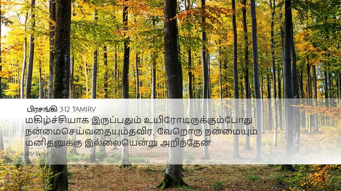 பிரசங்கி 3:12 TAMIRV Bible Verse Image