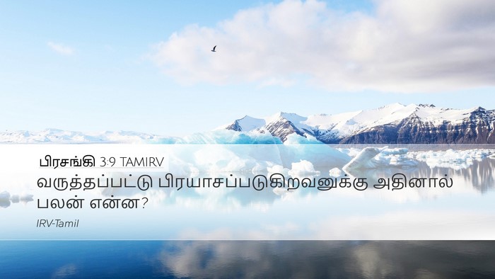 பிரசங்கி 3:9 TAMIRV Desktop Wallpaper - வருத்தப்பட்டு - Desktop Bible Verse Wallpaper