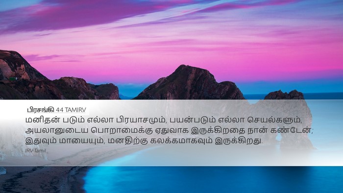 பிரசங்கி 4:4 TAMIRV Bible Verse Image