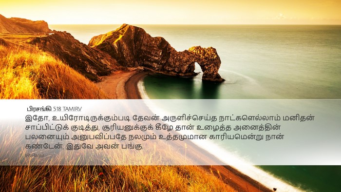பிரசங்கி 5:18 TAMIRV Bible Verse Image