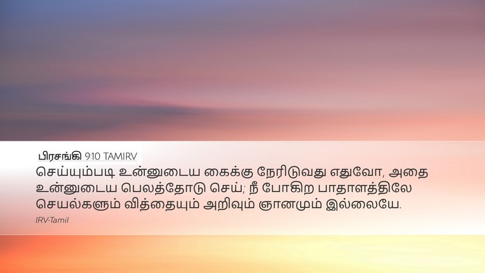 பிரசங்கி 9:10 TAMIRV Bible Verse Image