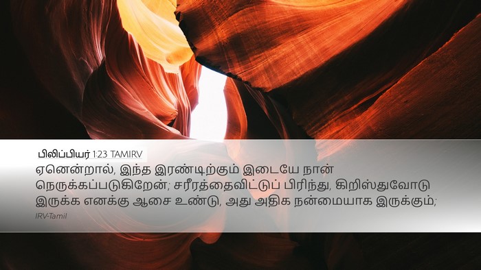 பிலிப்பியர் 1:23 TAMIRV Bible Verse Image