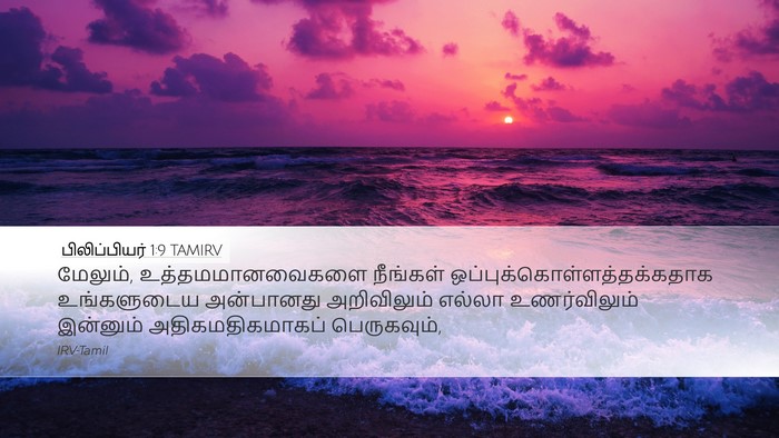 பிலிப்பியர் 1:9 TAMIRV Bible Verse Image