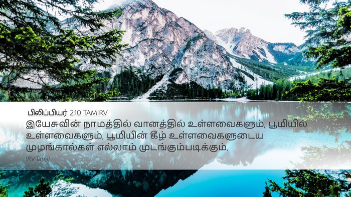 பிலிப்பியர் 2:10 TAMIRV Bible Verse Image