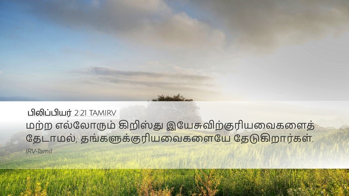 பிலிப்பியர் 2:21 TAMIRV Bible Verse Image