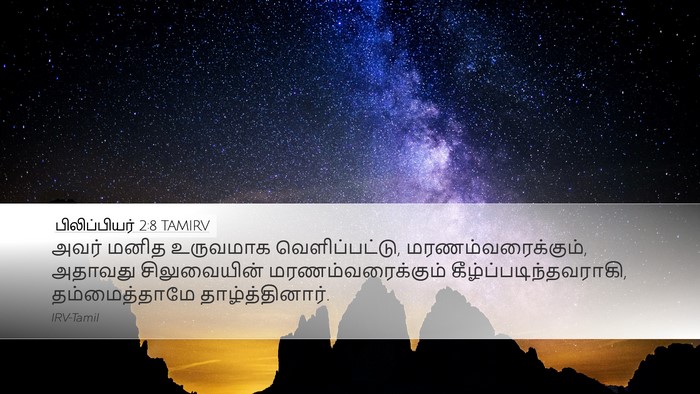 பிலிப்பியர் 2:8 TAMIRV Bible Verse Image